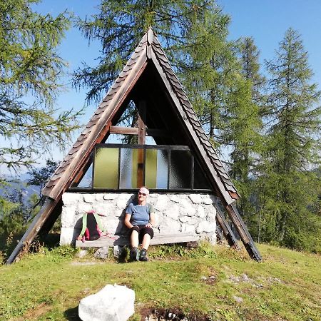 Ferienwohnung Schmaranzer Гозау Экстерьер фото