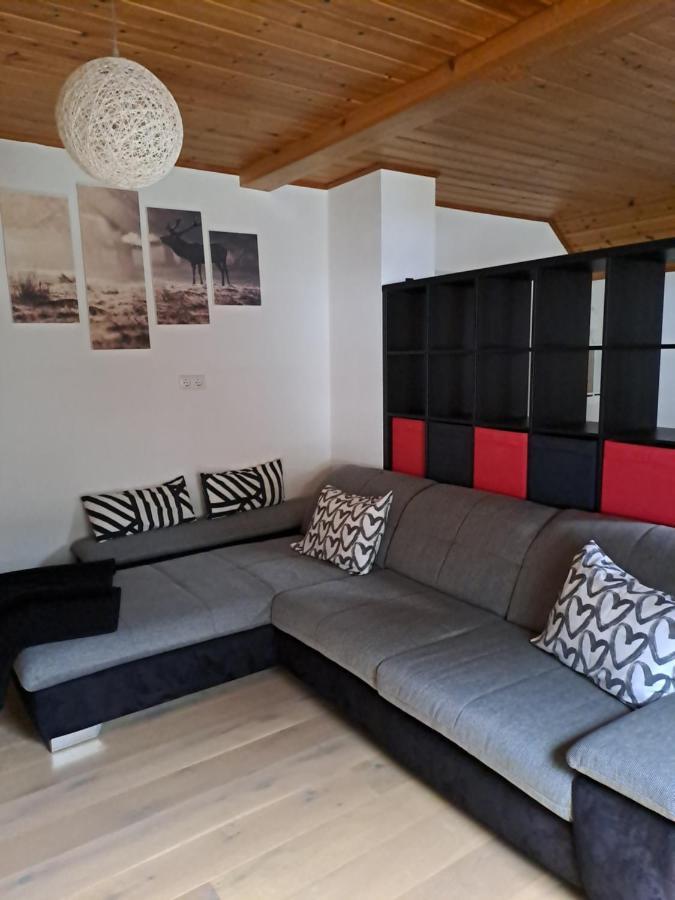 Ferienwohnung Schmaranzer Гозау Экстерьер фото